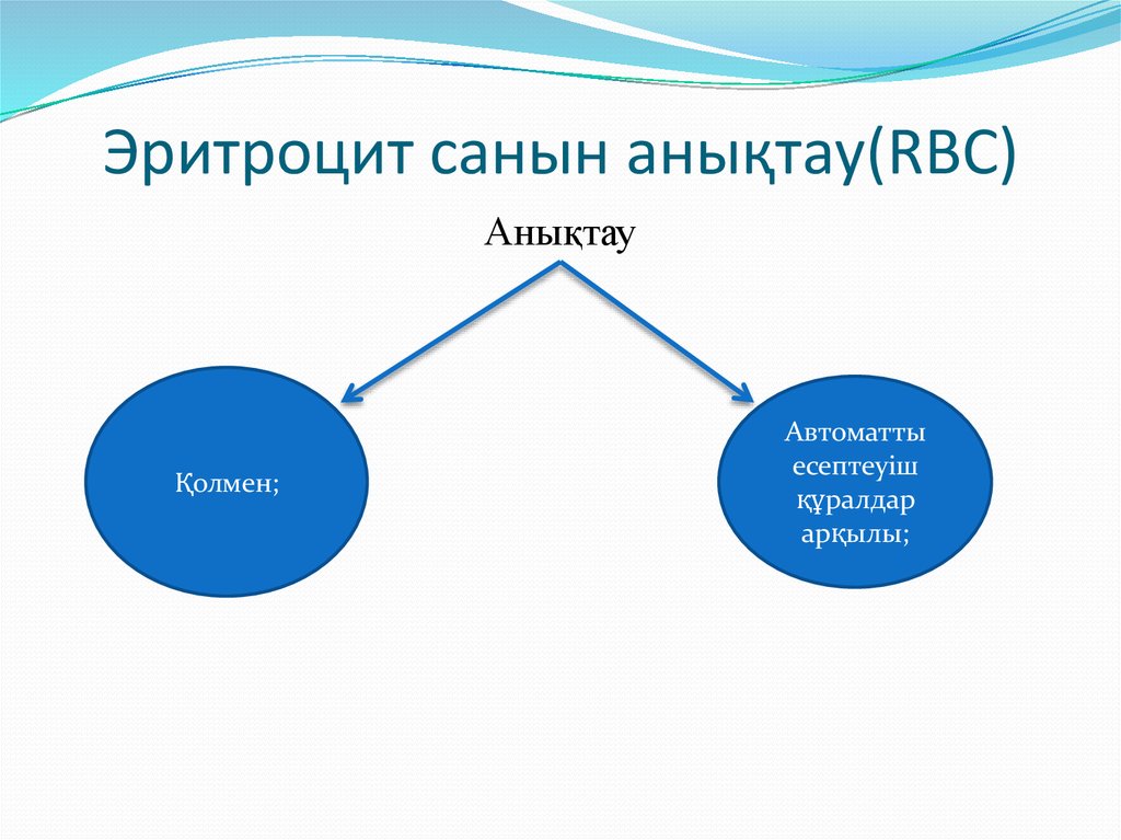 Эритроцит санын анықтау(RBC)