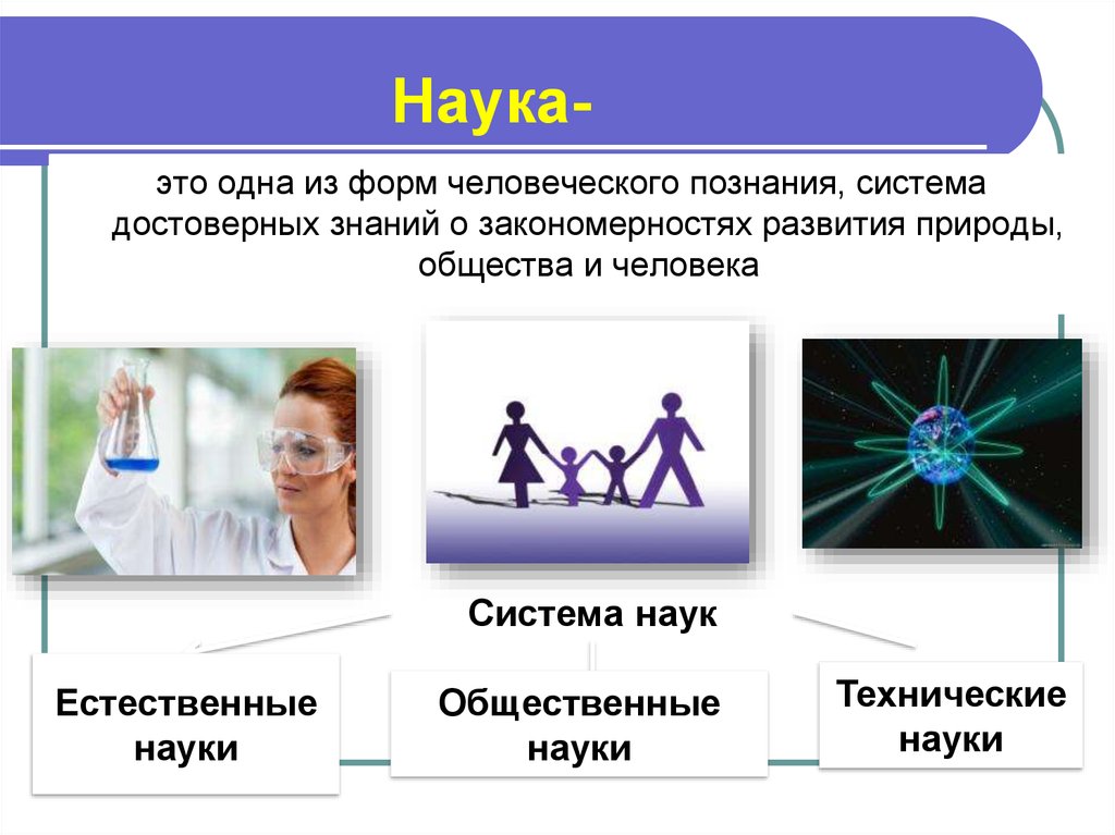 Система знаний обществознание