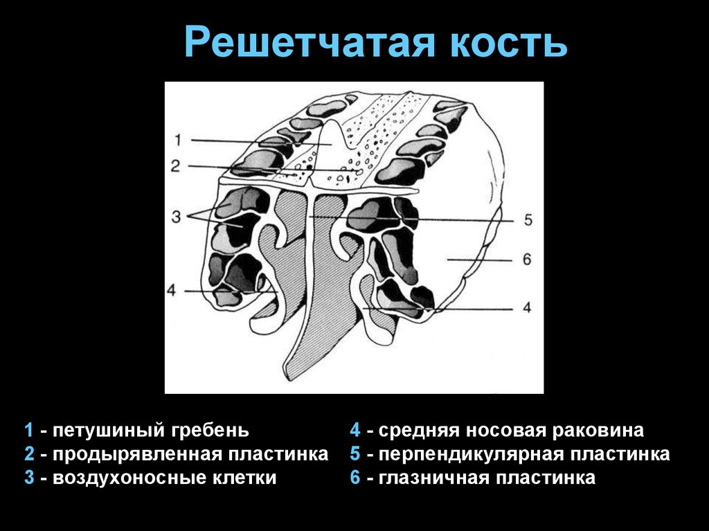 Решетчатые функции и их изображения