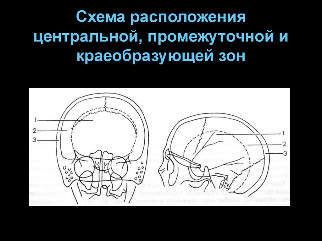 Центральное расположение. Рентгеноанатомия черепа. Рентгеноанатомия основания черепа. Рентгеноанатомия затылочной кости. Рентгеноанатомия черепа СКТ.