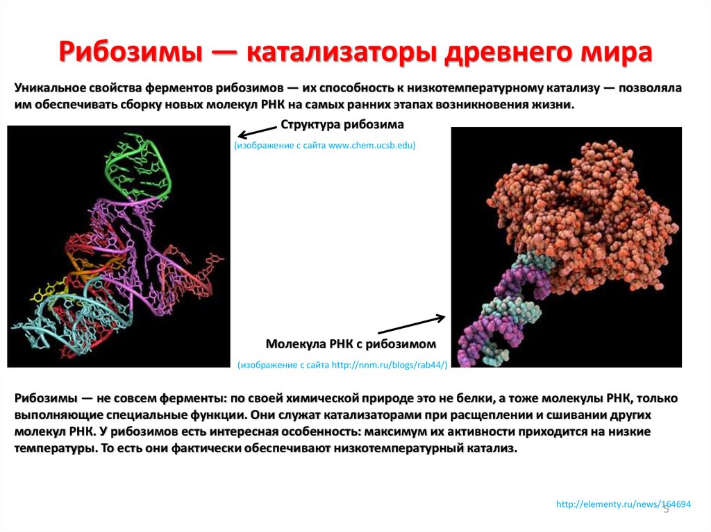 Функция молекул рнк. Ферментативная активность РНК. Рибозимы лигазы. Рибозимы РНК. Каталитическая активность РНК.