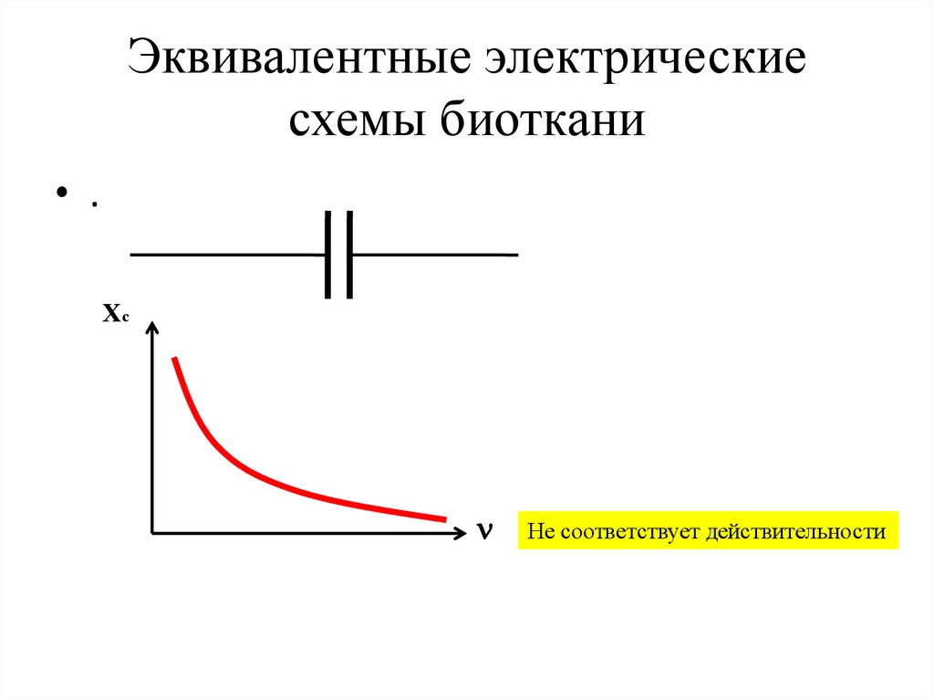 Простейшая электрическая эквивалентная схема биологической ткани