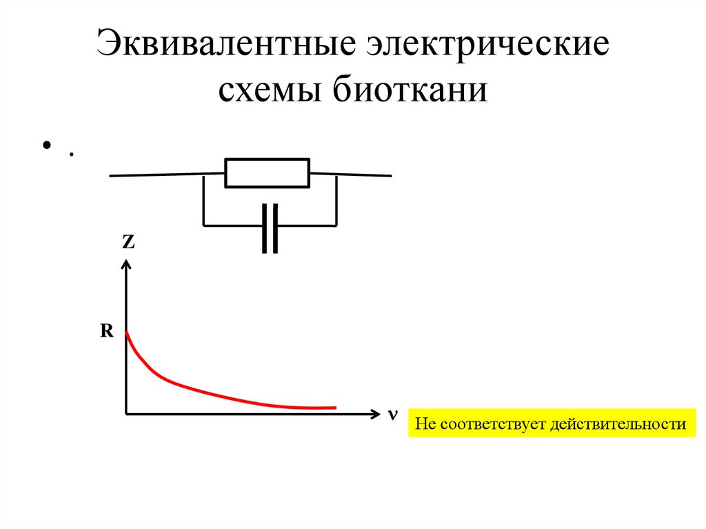 Эквивалентная электрическая схема тканей организма включает сопротивления