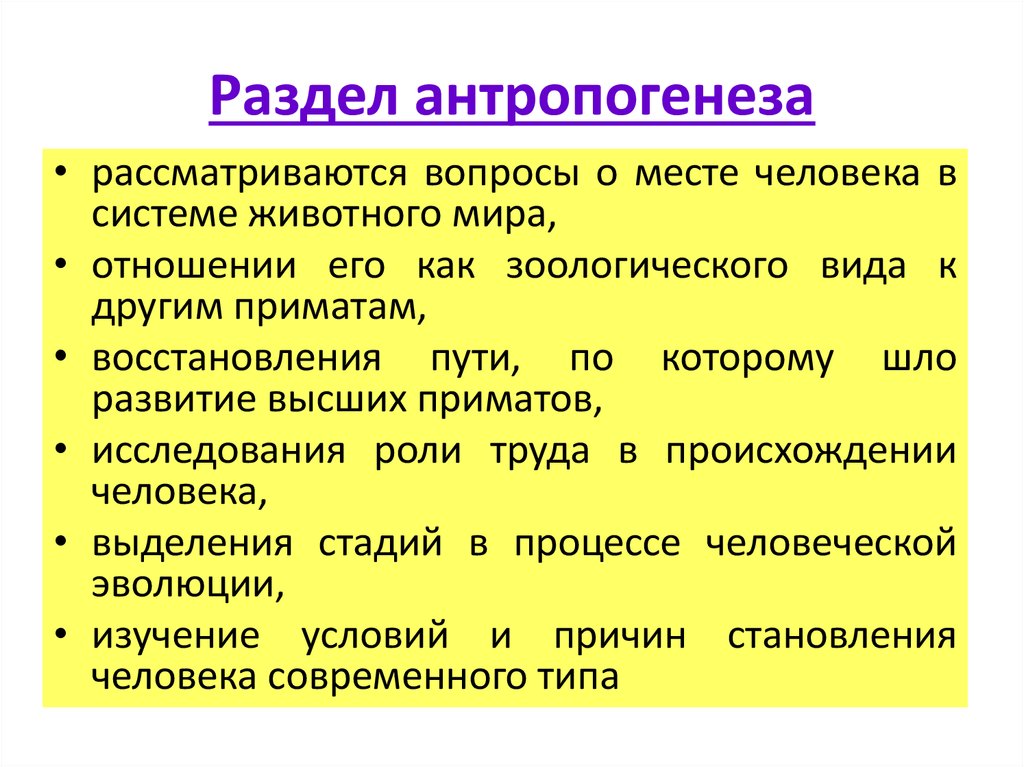 Основные этапы антропогенеза презентация