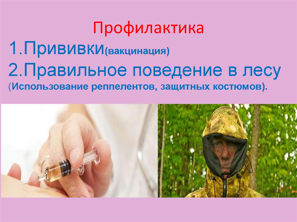 Профилактика