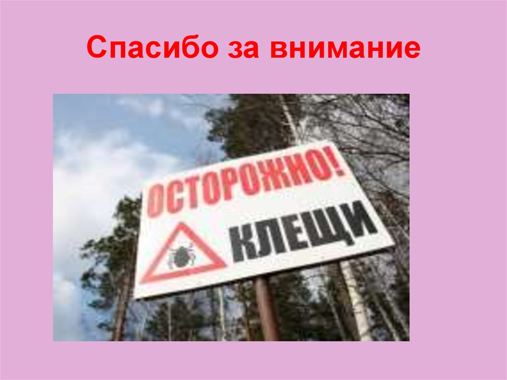 Спасибо за внимание