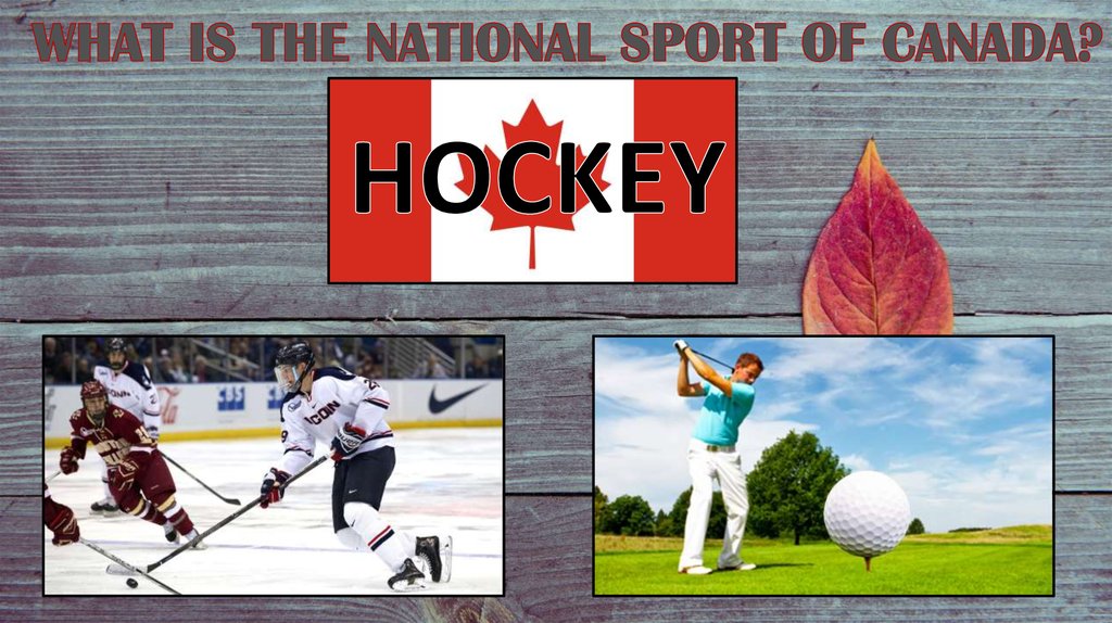 WHAT IS THE NATIONAL SPORT OF CANADA?