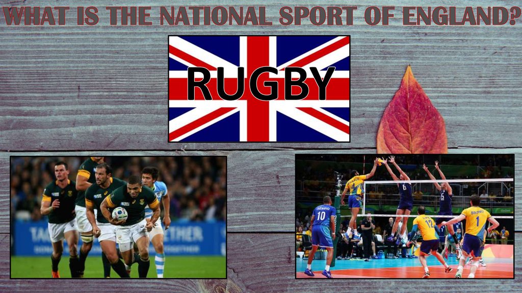 WHAT IS THE NATIONAL SPORT OF ENGLAND?