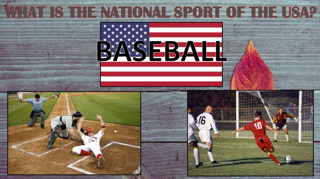 WHAT IS THE NATIONAL SPORT OF THE USA?