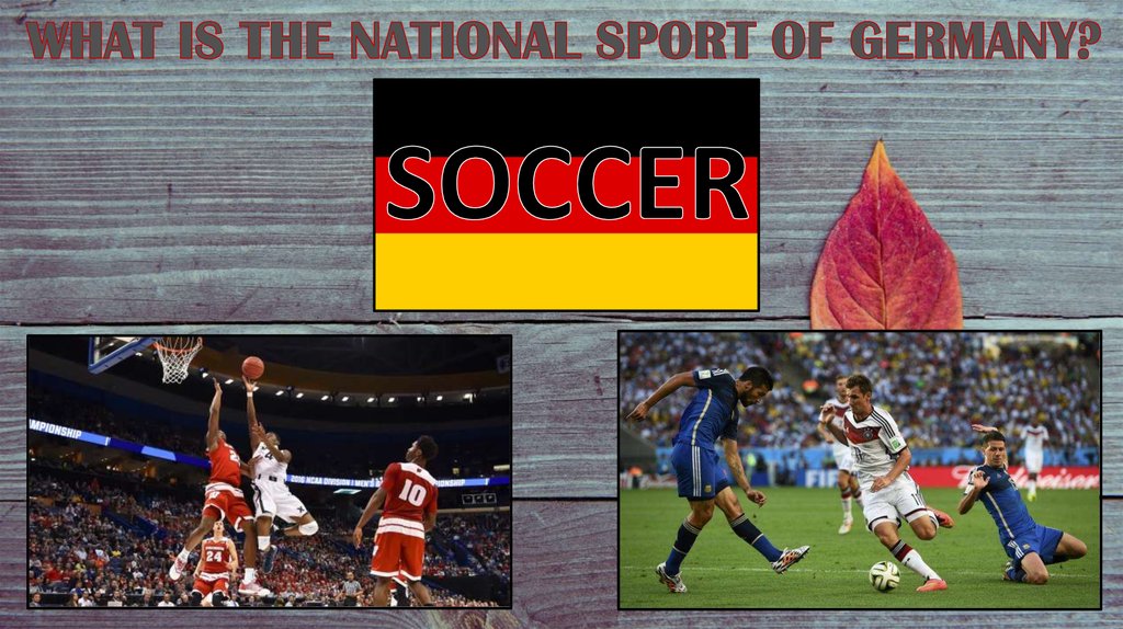 WHAT IS THE NATIONAL SPORT OF GERMANY?