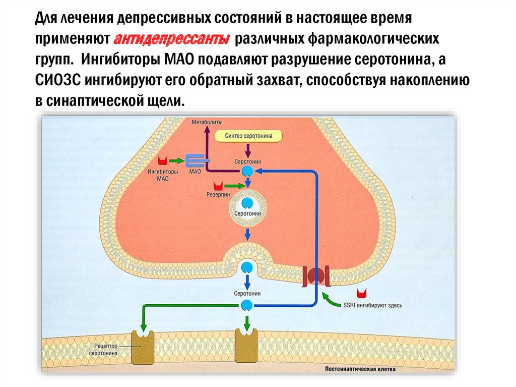 Для лечения депрессивных состояний в настоящее время применяют антидепрессанты различных фармакологических групп. Ингибиторы