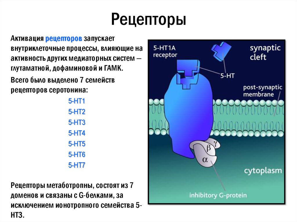 Пропали рецепторы