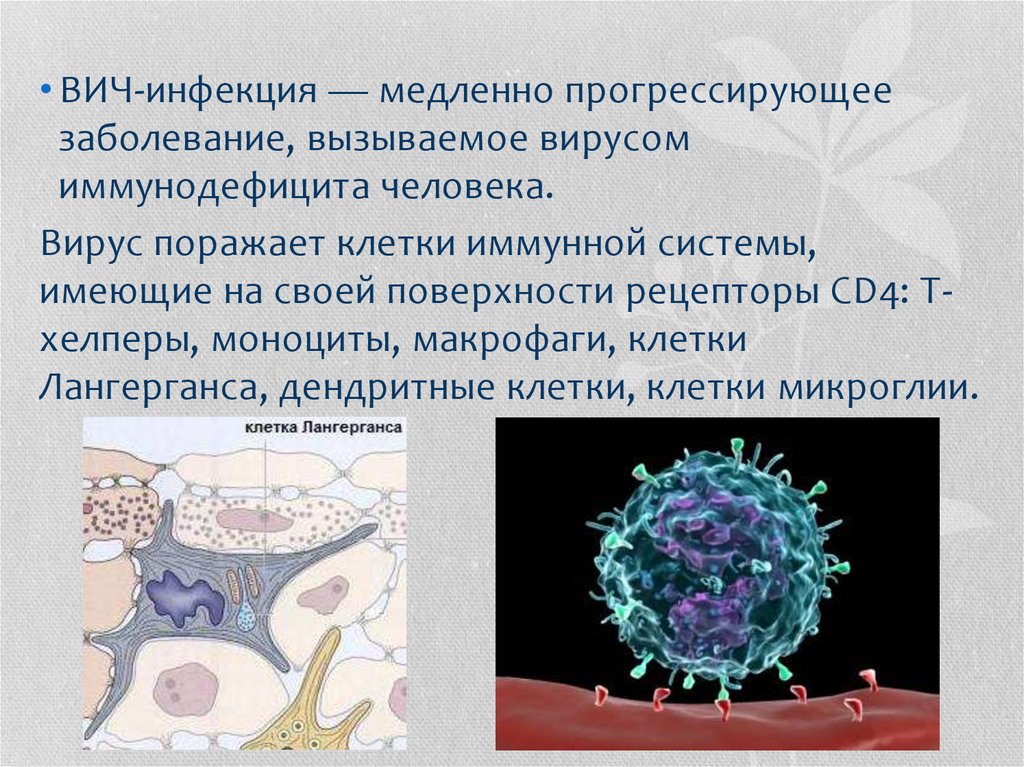 Заболевание спидом вызывают вирусы. Вирусы иммунодефицита поражают клетки. ВИЧ поражает клетки иммунной системы. Вирус ВИЧ инфекции поражает клетки. Клетки Лангерганса.