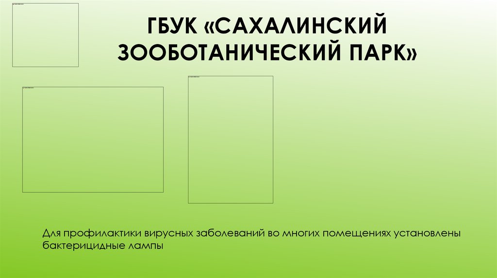 ГБУК «Сахалинский зооботанический парк»