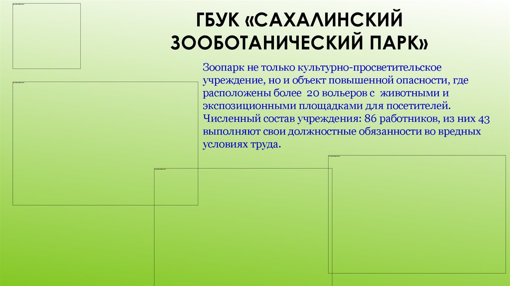 ГБУК «Сахалинский зооботанический парк»