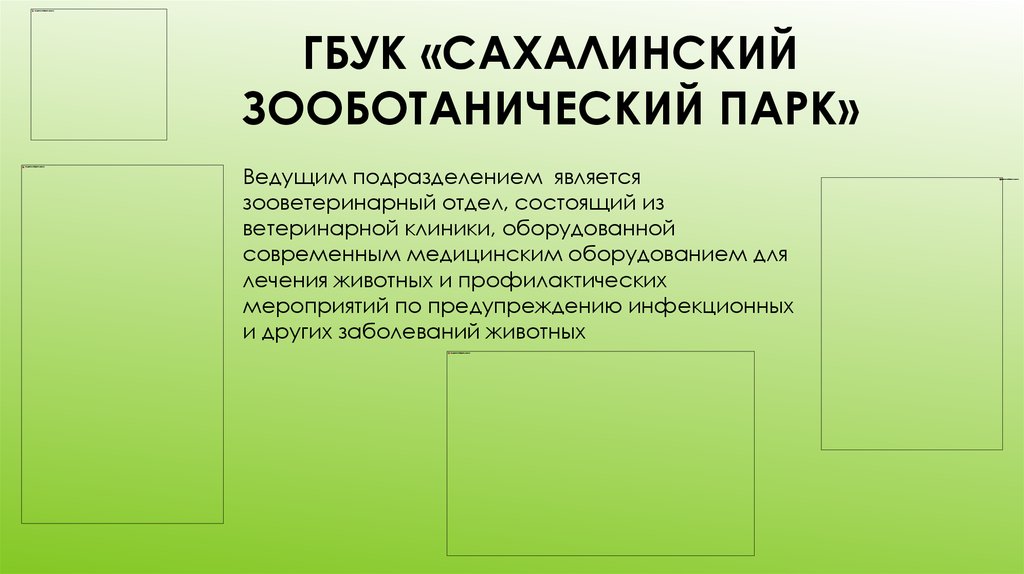 ГБУК «Сахалинский зооботанический парк»