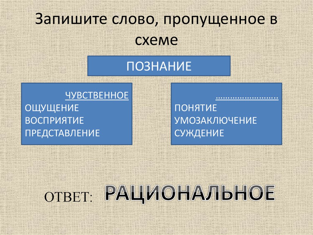 В 1 запишите слово пропущенное в схеме