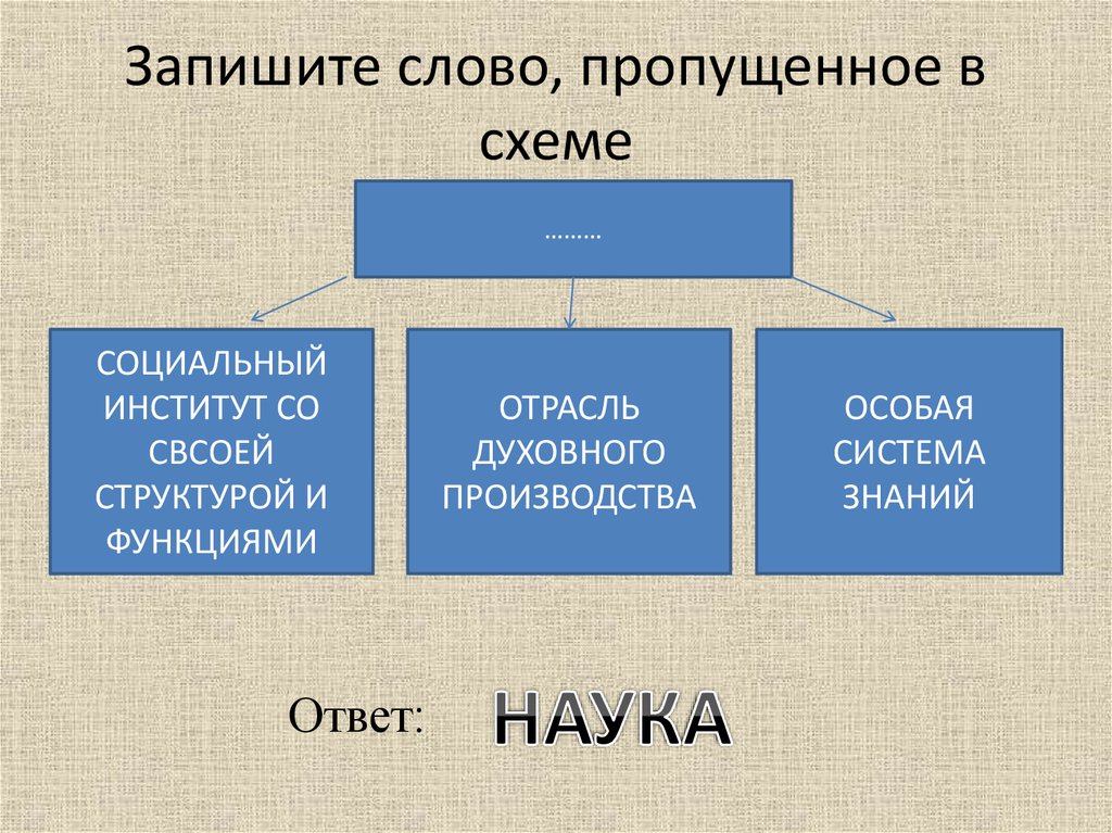 Запишите слово пропущенное в схеме базовые социальные