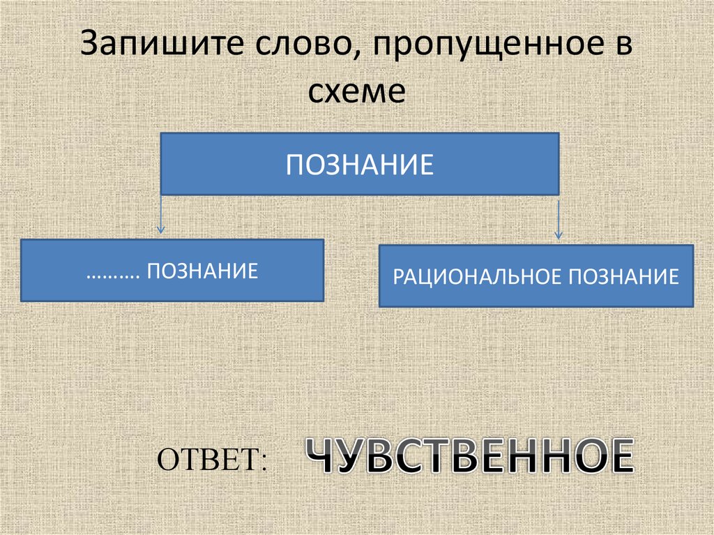 Какое слово пропущено в схеме формы рационального познания