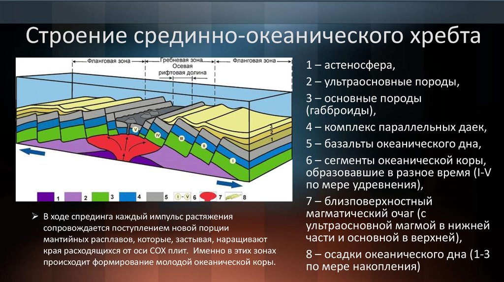 Океанические хребты образовались в зоне