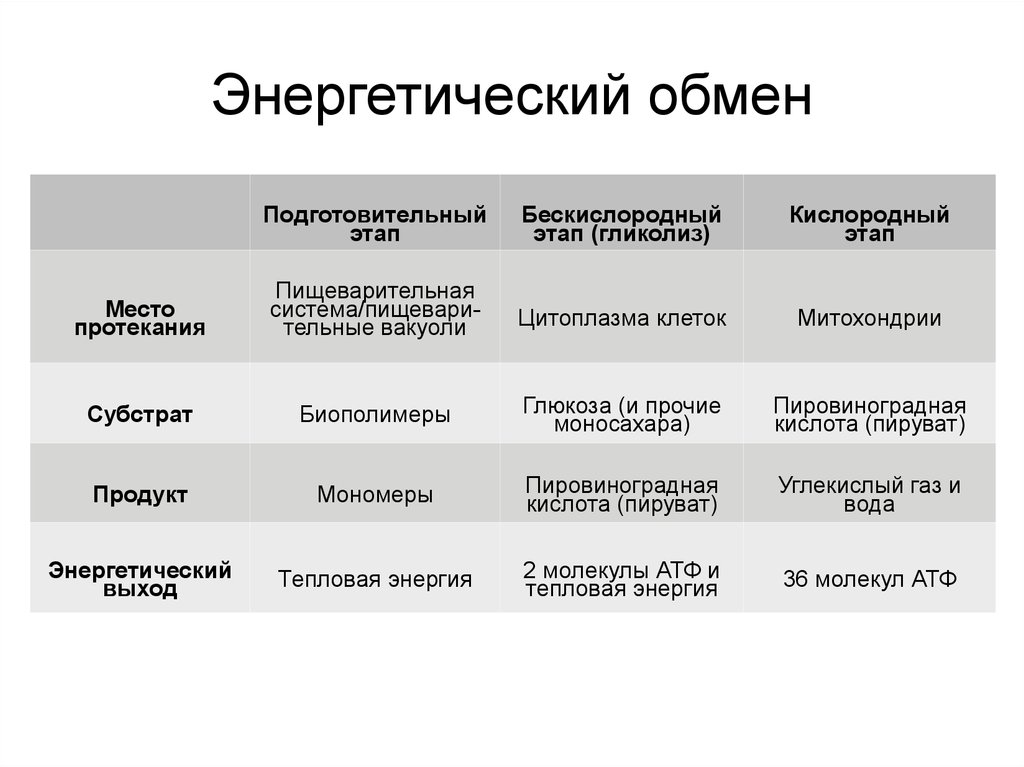 Тест пластический и энергетический обмен 10 класс. Кислородный этап энергетического обмена. Энергетический обмен диссимиляция. Пластический и энергетический обмен таблица. Подготовительный этап диссимиляции.