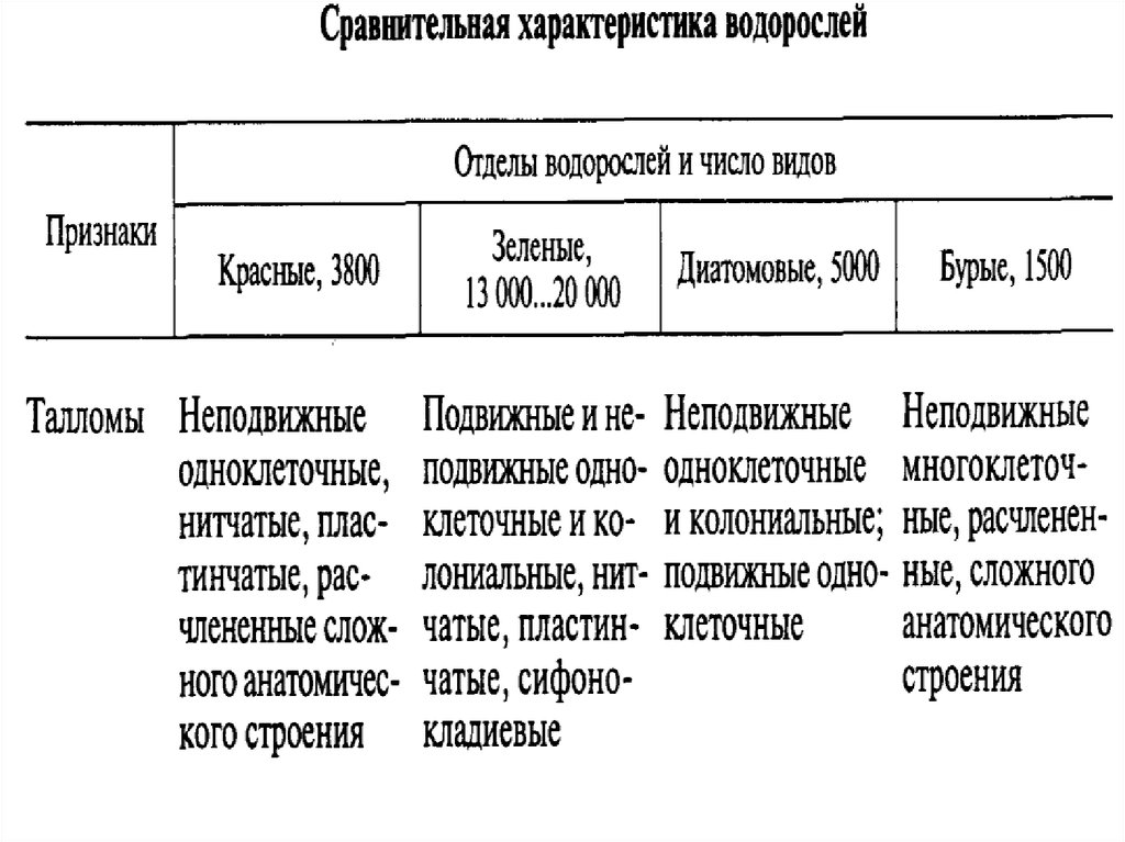 Водоросли сравнение. Общая характеристика отделов водорослей таблица. Сравнительная характеристика водорослей таблица 7 класс. Отряды водорослей таблица. Сравнительная характеристика основных отделов водорослей.