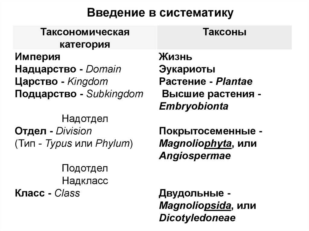 Домен таксон. Основные систематические (таксономические) категории. Основные таксоны систематики растений. Ботаника систематика растений. Систематика таксонов в биологии.