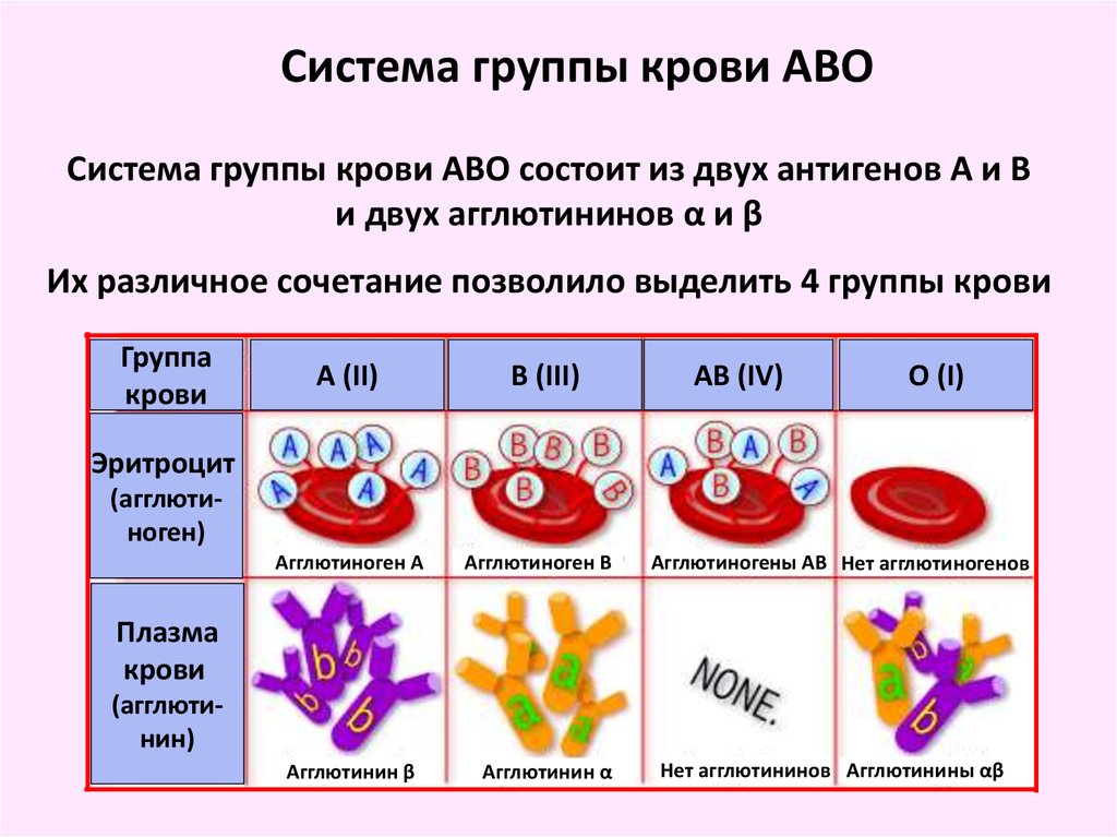 Определение группы крови фото