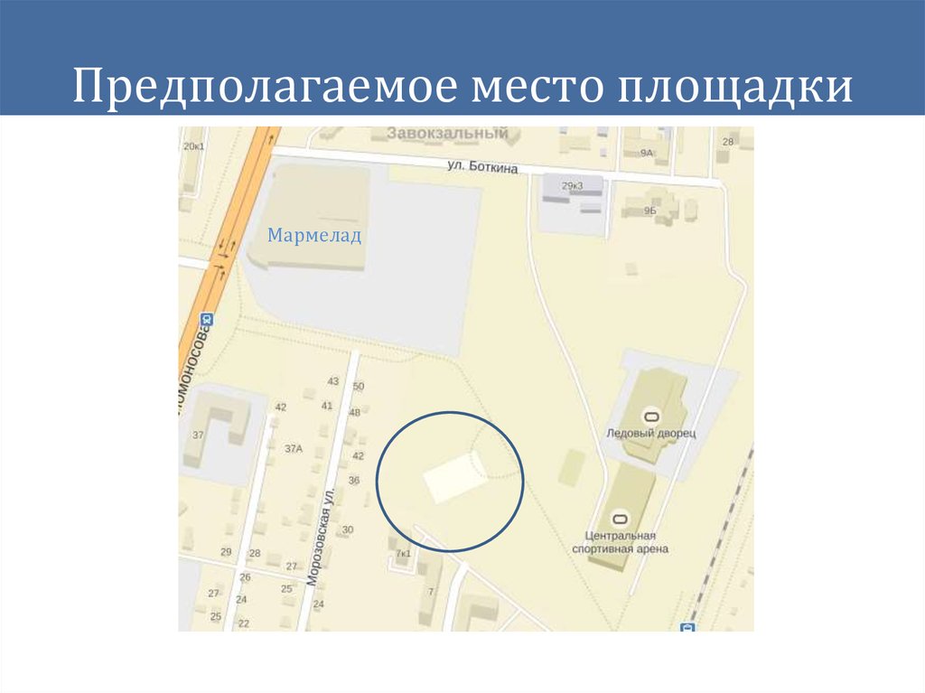 Предполагаемое место площадки