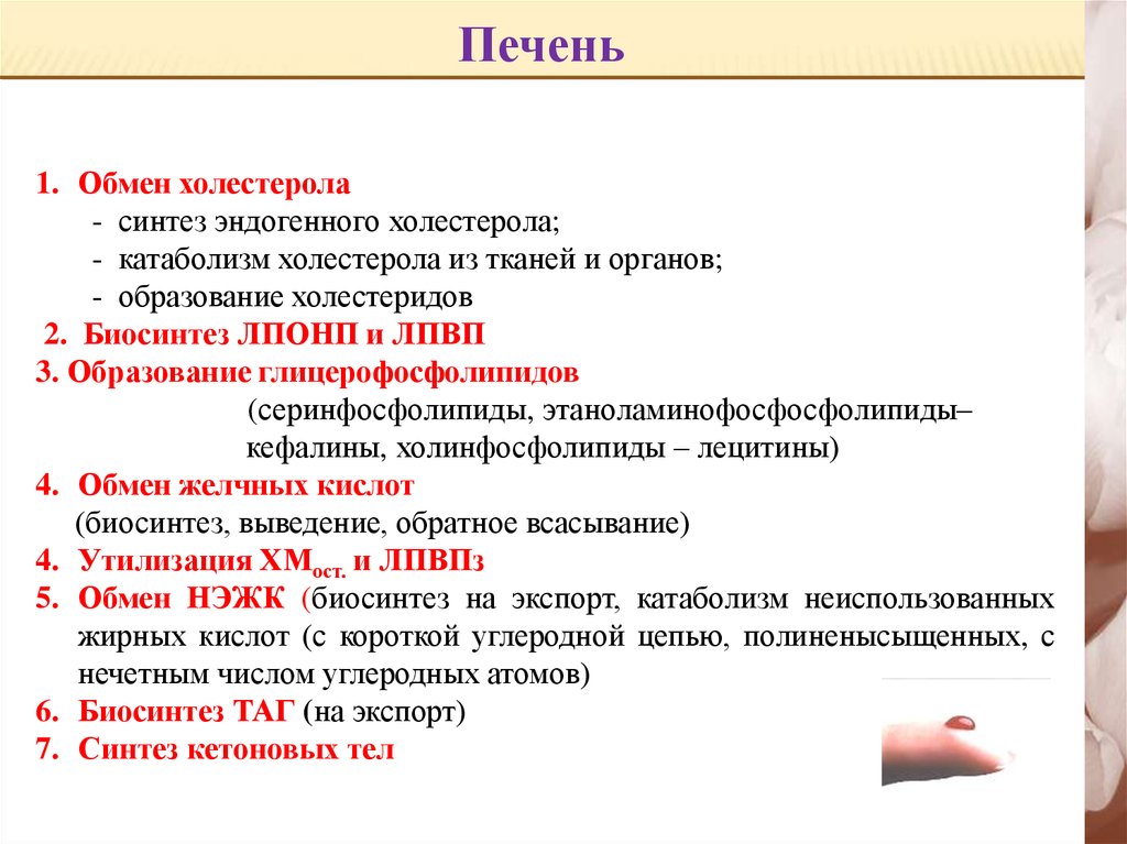 Место синтеза. Катаболизм холестерола. Катаболизм и Биосинтез холестерина. Особенности обмена липидов в тканях. Катаболизм холестерола биохимия.