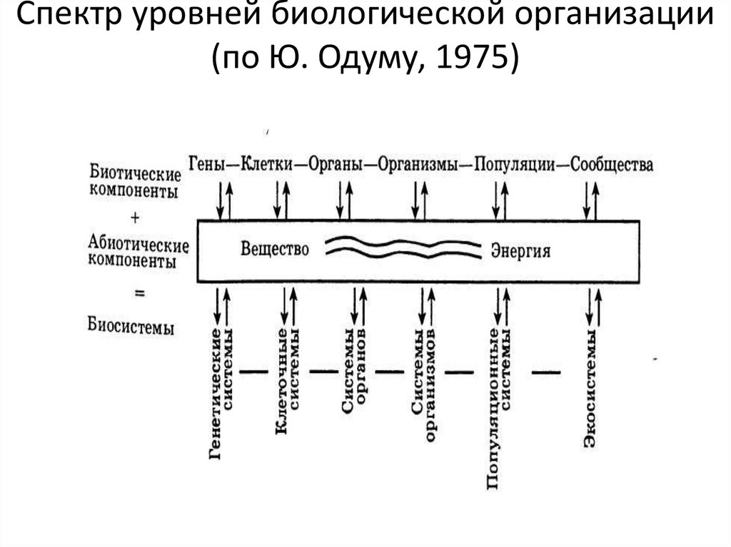 Спектральные уровни