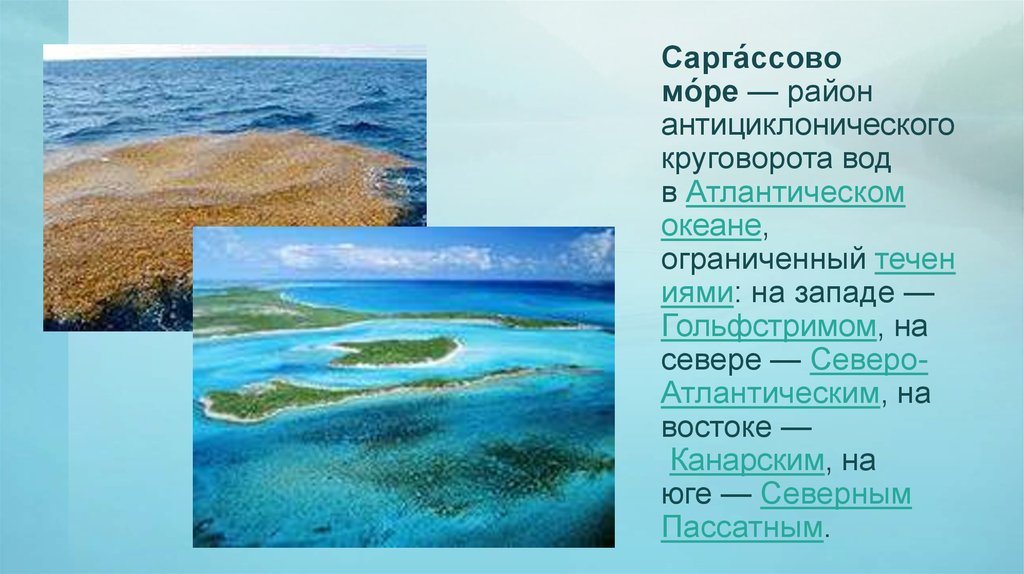 Моря атлантического океана список. Саргассово море моря Атлантического океана. Саргассово море глубина. Гидросфера Саргассово море. Моря Атлантического и индийского океана.