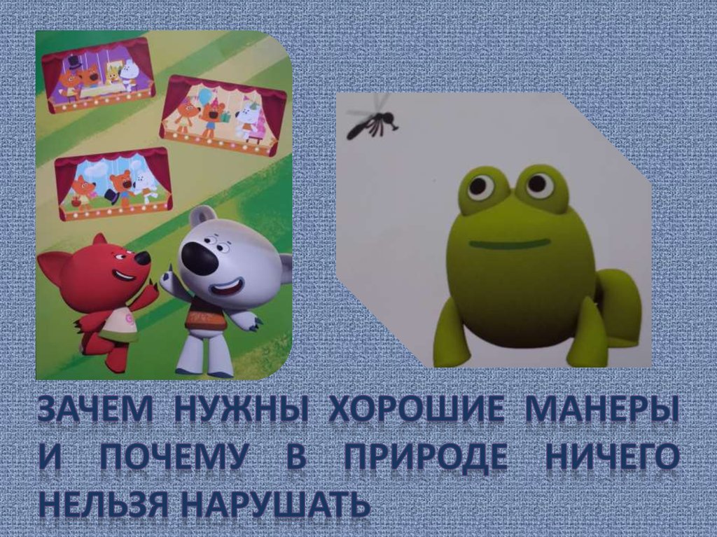 зачем нужны хорошие манеры и почему в природе ничего нельзя нарушать