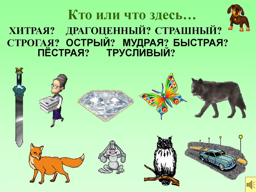 Др и тр презентация