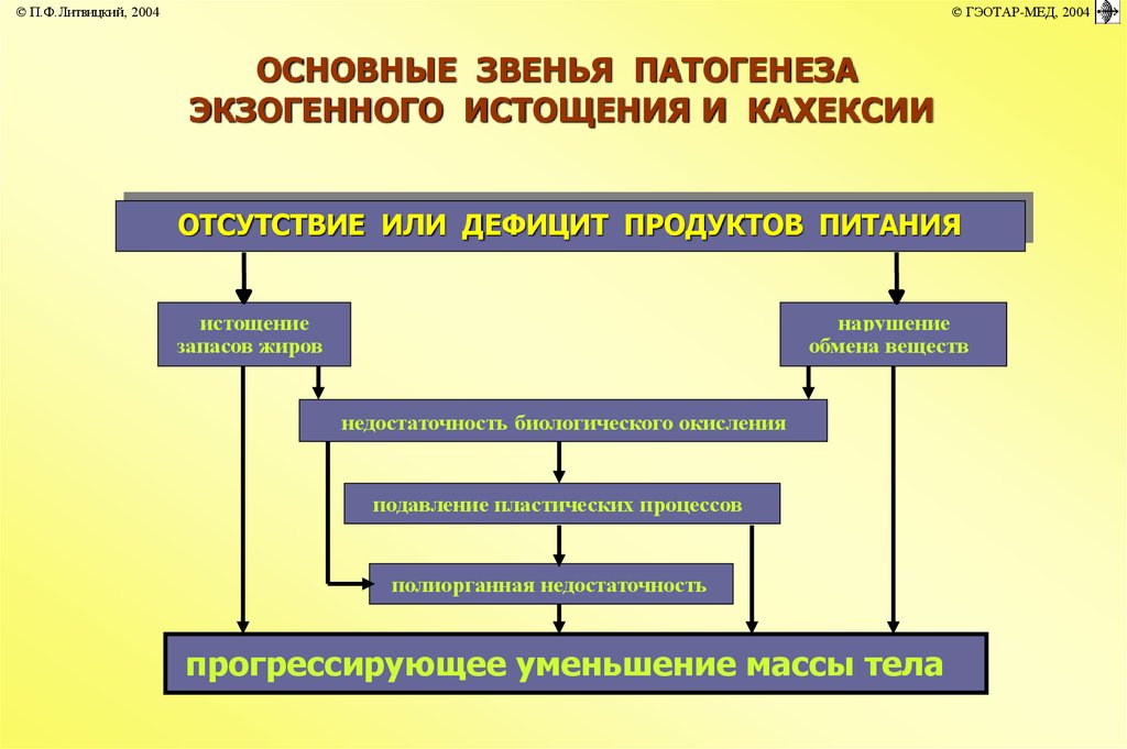 Схема патогенеза раковой кахексии патофизиология