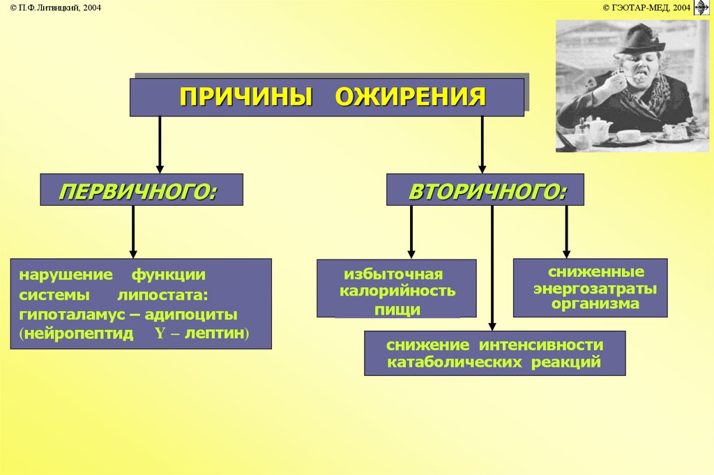 Ожирение патофизиология презентация