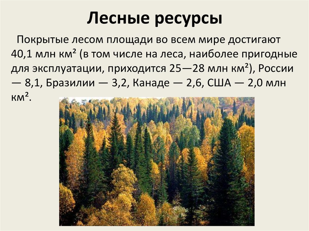 Лесные ресурсы сайт. Лесные ресурсы. Лесные ресурсы России. Лесные ресурсы США. Лесные ресурсы Канады.
