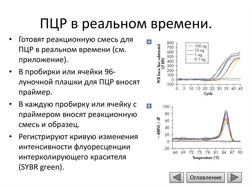 Пцр ошибка