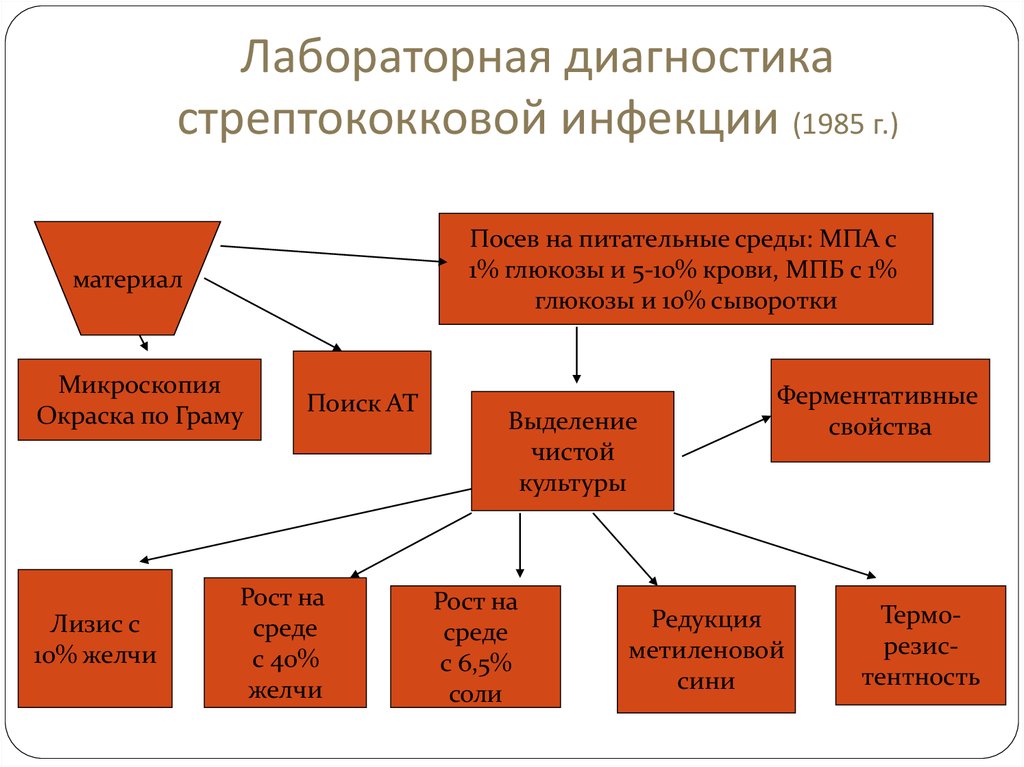 Схема лабораторной диагностики стрептококковой инфекции