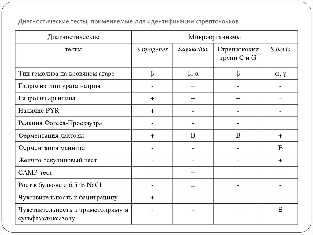 Энтерококки в питьевой воде