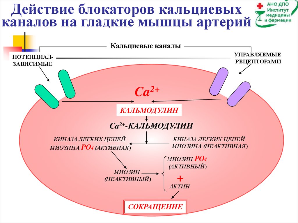 Кальциевый