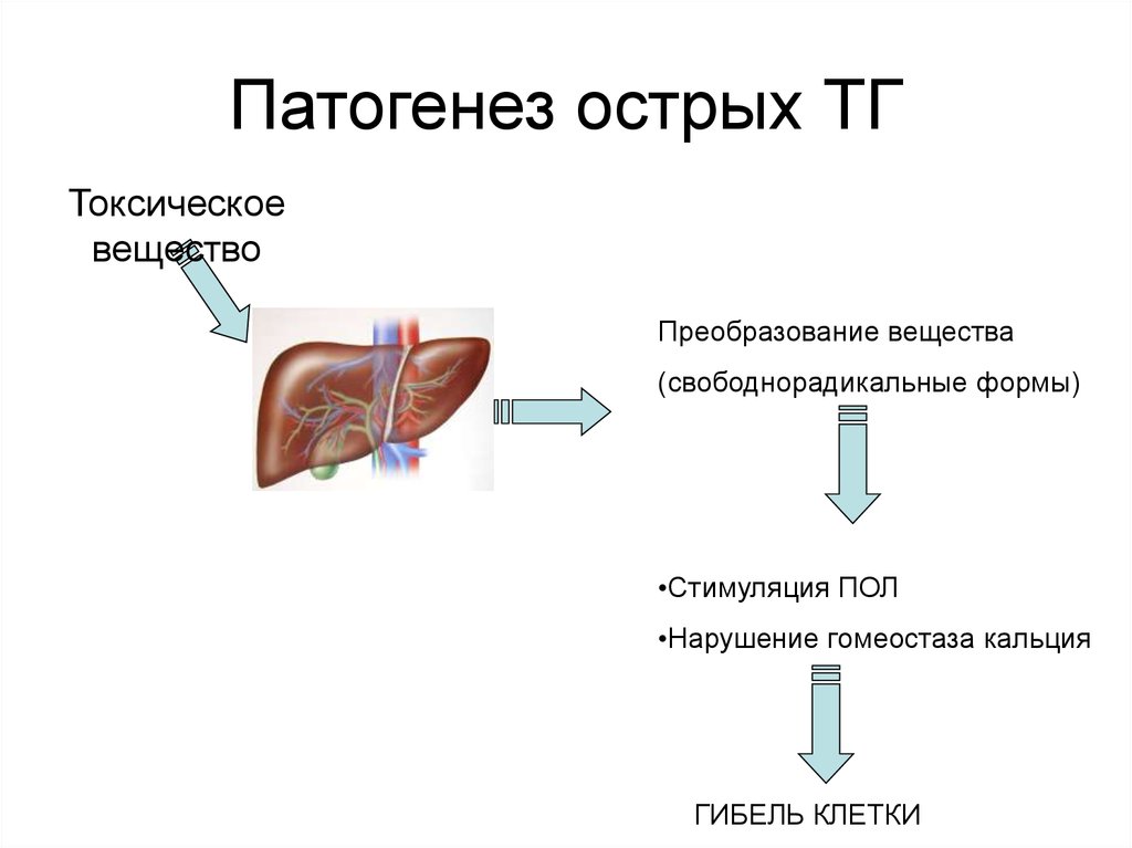 Острые поражения печени