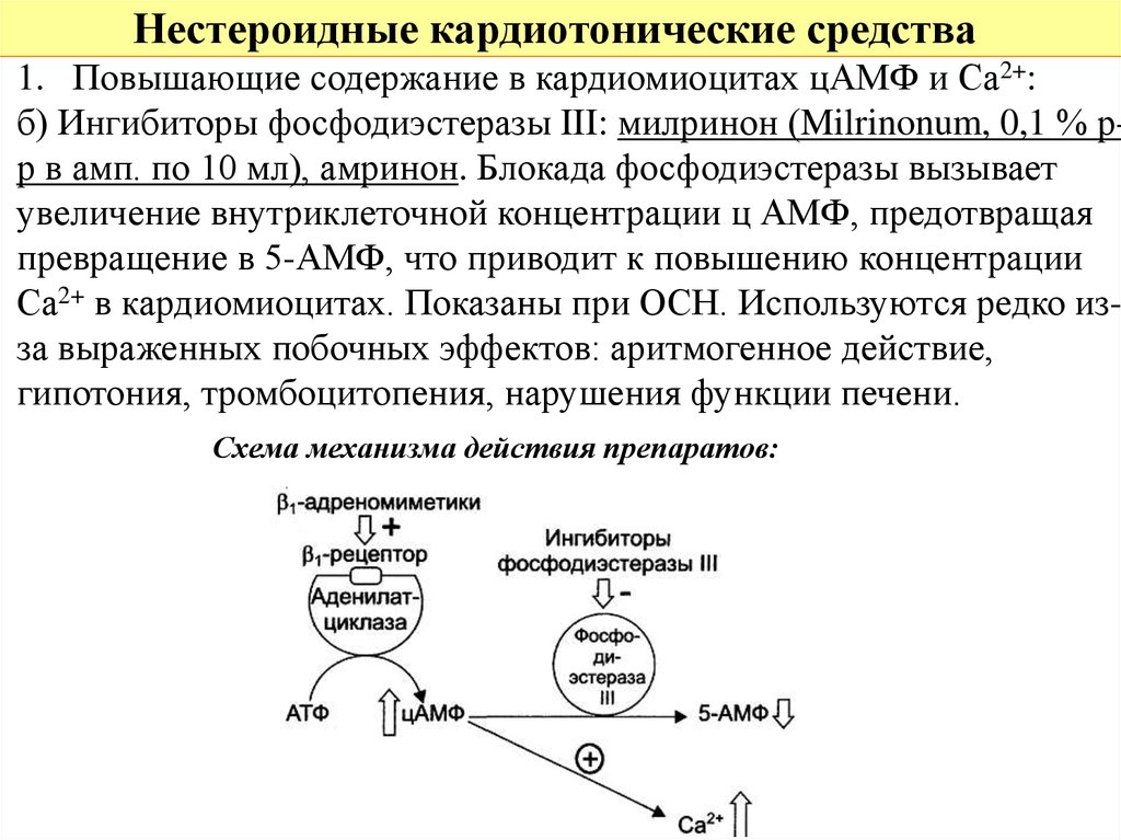 Механизм действия кардиотонических средств