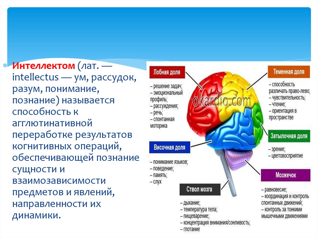 Цифровое слабоумие это