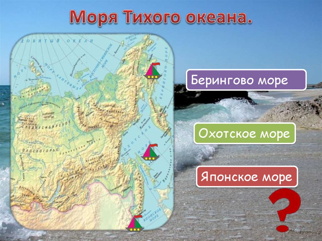 В тихий океан входит. Моря Тихого океана. Моря Тихого моря Тихого океана. Моря которые принадлежат тихому океану. Моря которые входят в тихий океан.