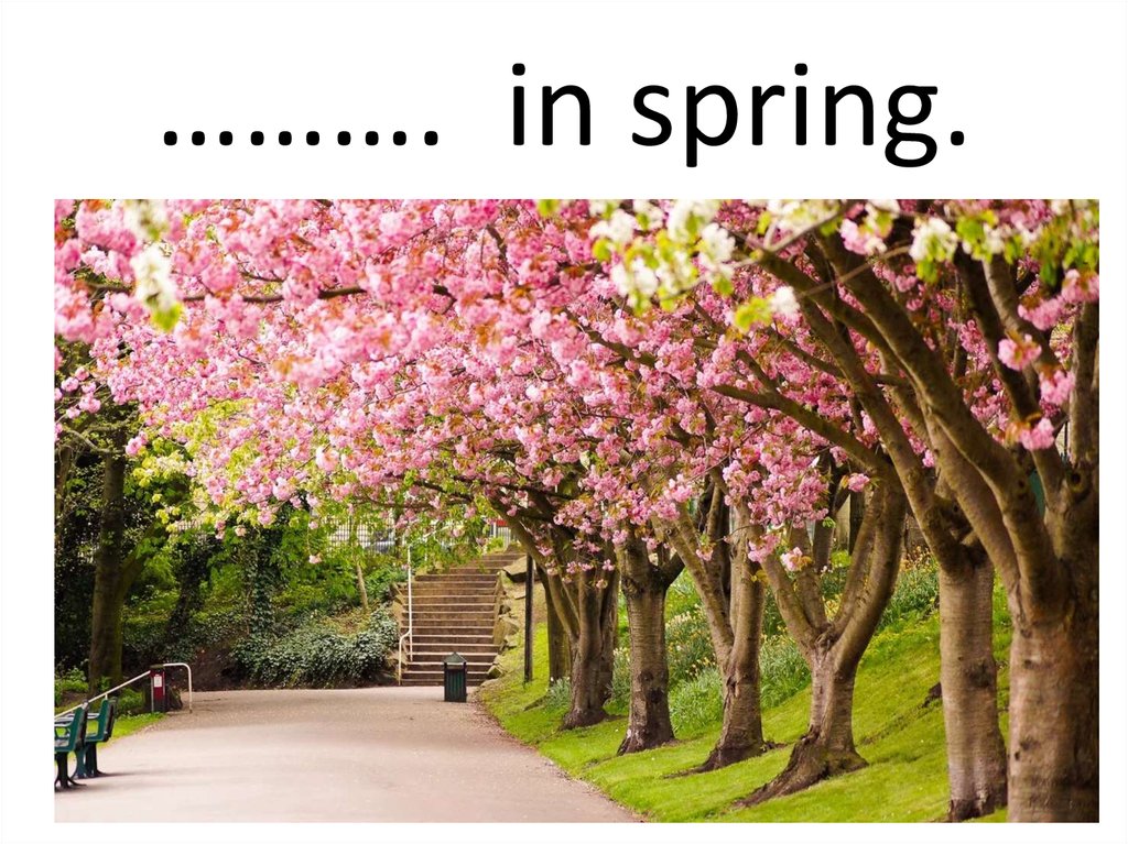 ………. in spring.