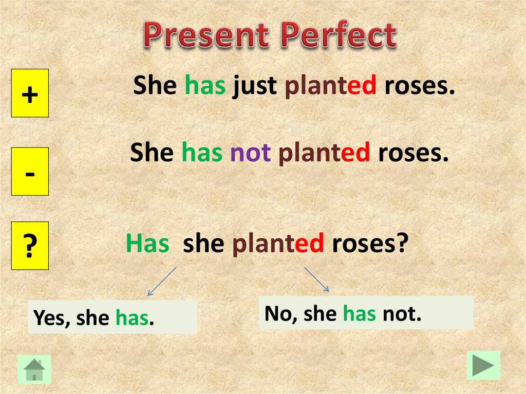 Present perfect c have. Презент Перфект. Present perfect past perfect. The perfect present. Have в презент Перфект.