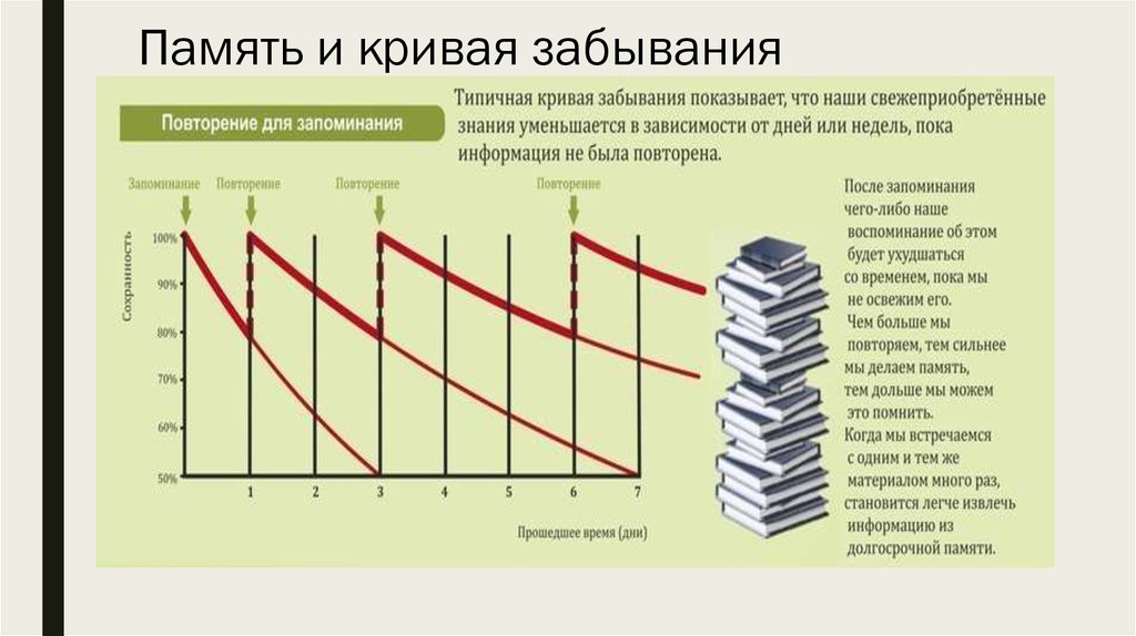 Факторы влияющие на забывание