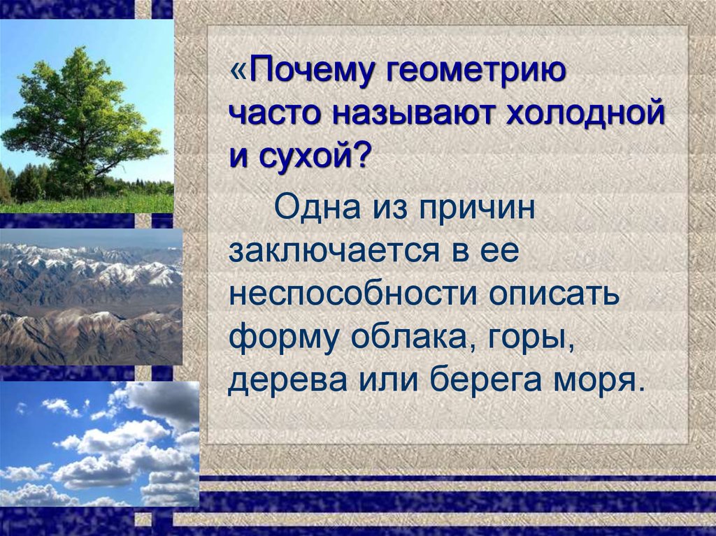 Фракталы в природе - презентация онлайн