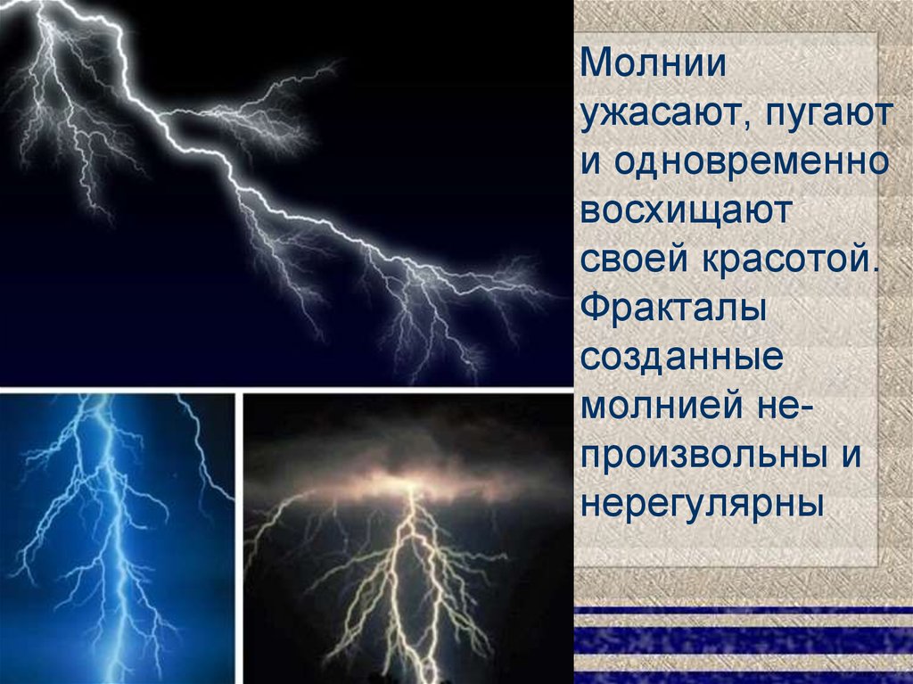 Фракталы в природе - презентация онлайн
